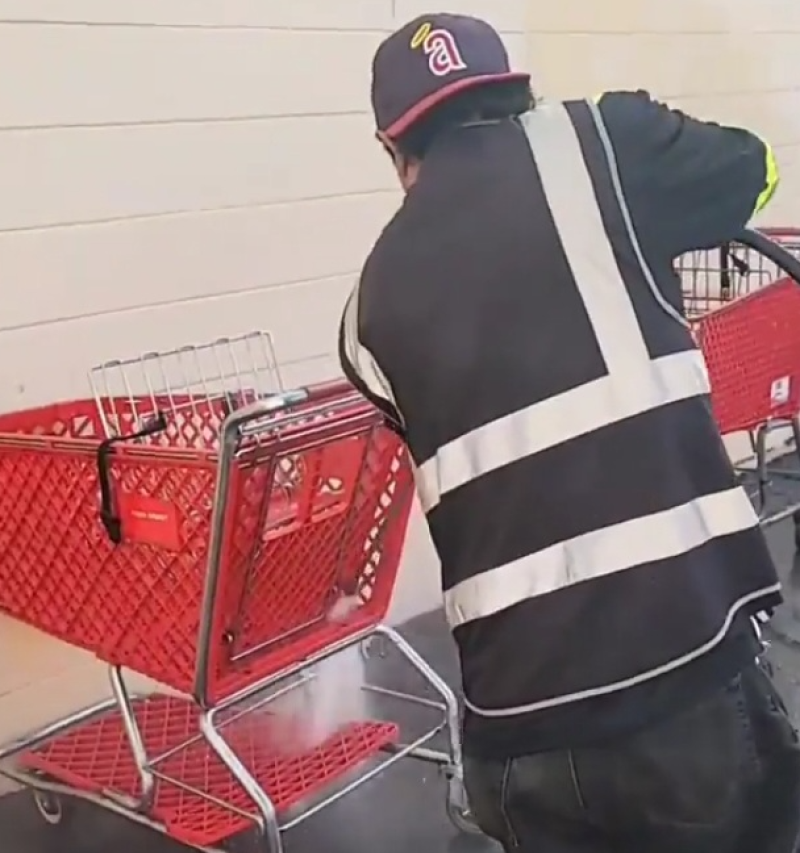 Shopping Cart Cleaning